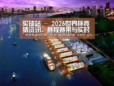 案例展示八