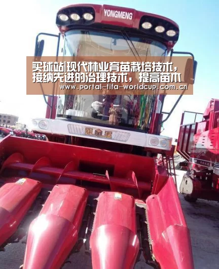 买球站|现代林业育苗栽培技术,接纳先进的治理技术,提高苗木的成活率(图1) 买球站